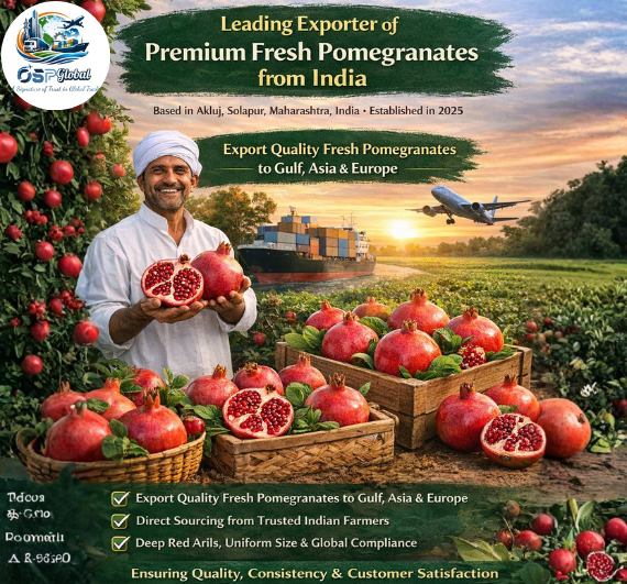 Premium Fresh Pomegranate Exporter from India - OSP Global 